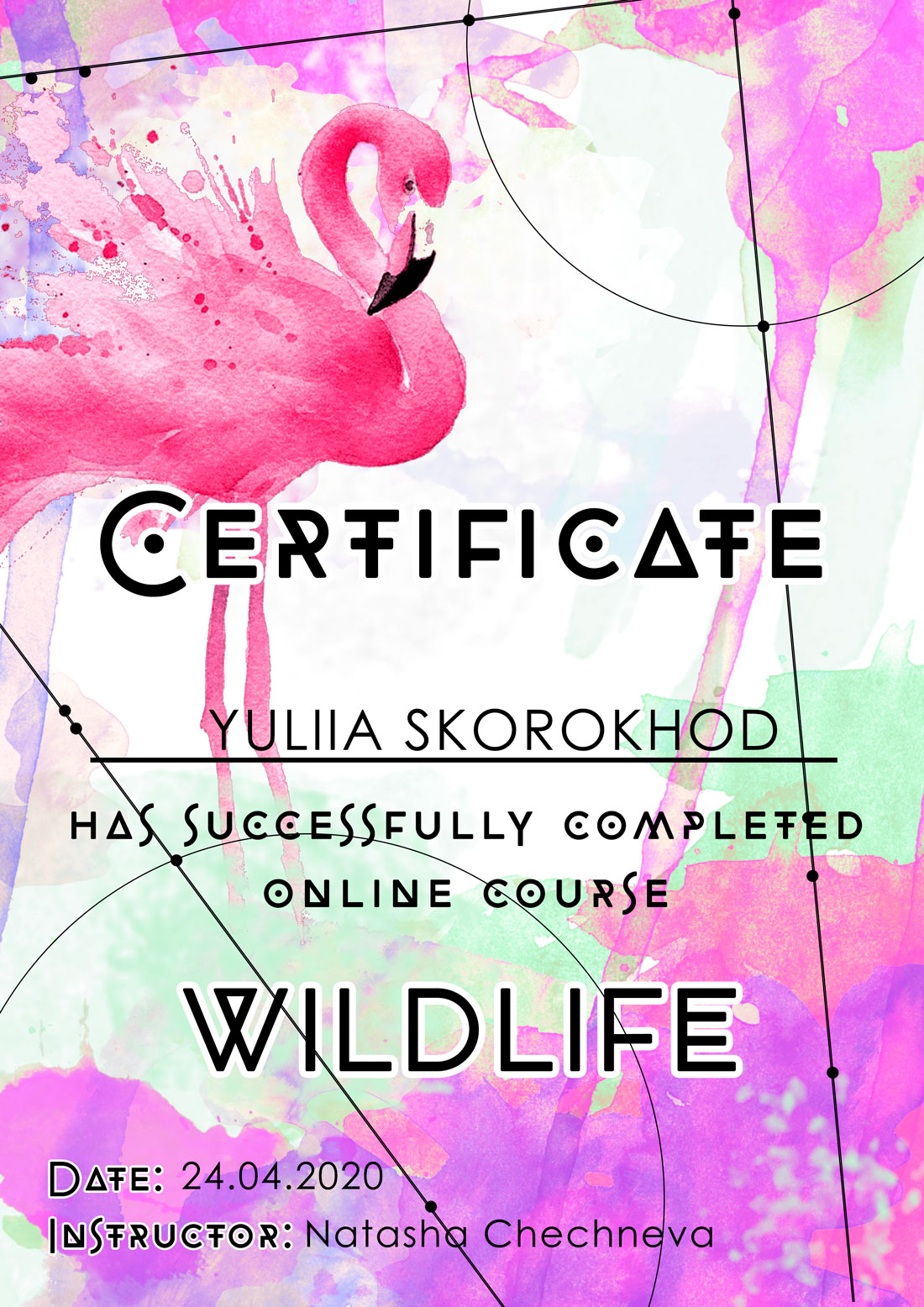 Professional certificate
